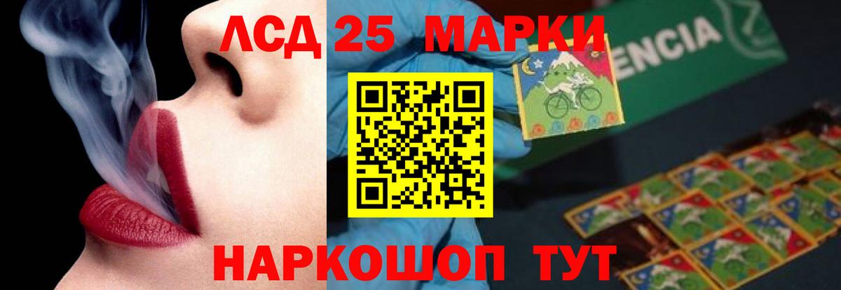 МЕФ Сокол
